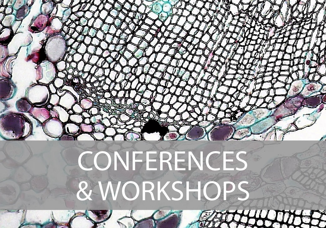 Conference and Workshops